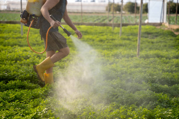 Insect Control in Gonzales, CA